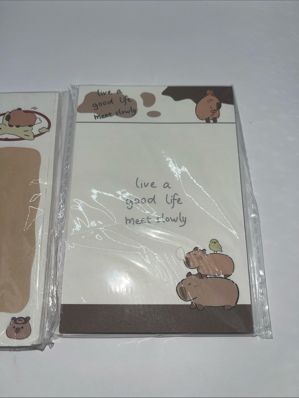 Capybara Sticky note set - Picture 4 of 4